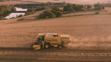 Sheffield, İngiltere - 24 Ağustos 2019: İngiltere'de destansı gün batımı sırasında buğday hasat eden New Holland Tx32 Harvester'ın yanında havadan çekilen görüntüler
