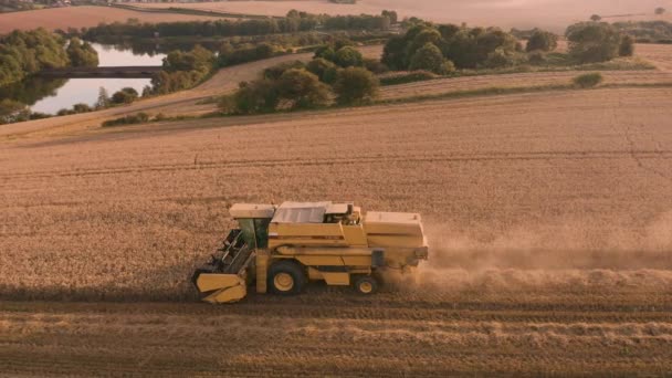 シェフィールド、英国 - 2019年8月24日:英国の壮大な夕日の間に小麦を収穫する新しいオランダTx32収穫機と一緒に空中映像 — ストック動画