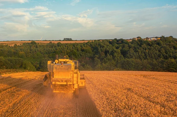 Foto aerea posteriore di una mietitrice che raccoglie un campo di grano al tramonto — Foto Stock