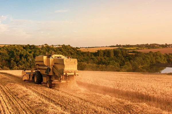 Foto aerea posteriore di una mietitrice che raccoglie un campo di grano al tramonto — Foto Stock