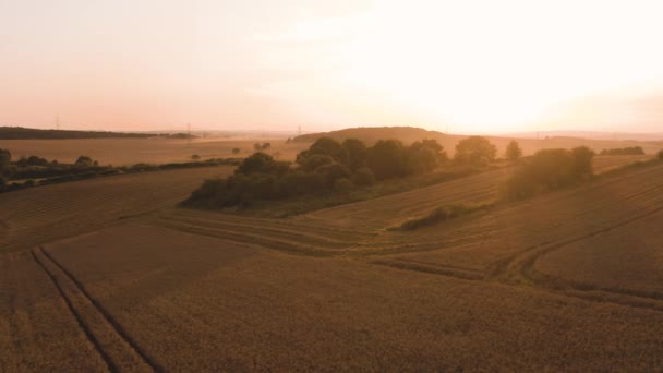 Hermosa puesta de sol aérea en el campo de Inglés Rural en el verano de 2019 — Vídeo de stock