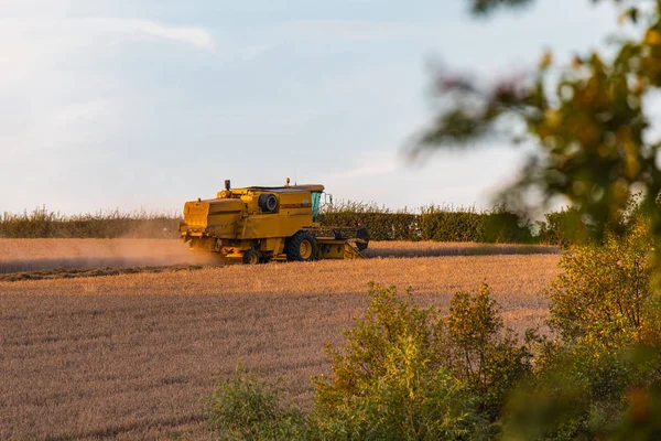 SHEFFIELD, UK - 24 AGOSTO 2019: Profilo laterale di una New Holland TX32 Combine Harvester che lavora un campo di grano durante il tramonto — Foto Stock