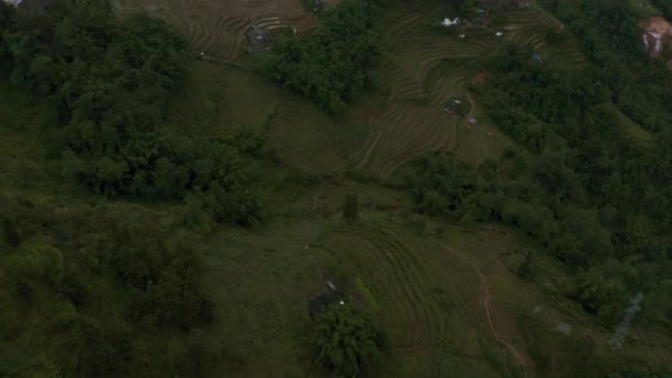 Filmati aerei di droni di terrazze di riso a Sapa, Vietnam del Nord ottobre 2019 — Video Stock