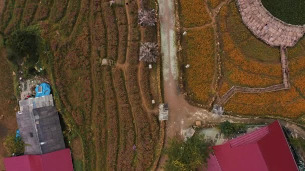Images des Drones du Cat Village près de Sapa dans le Nord du Vietnam - Octobre 2019 