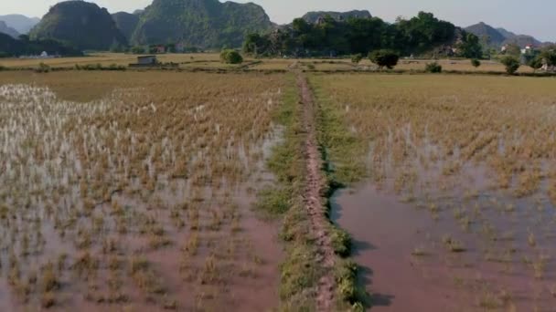 Letecké záběry Ninh Binh a Tam Coc z oblohy během západu slunce - říjen 2019 — Stock video