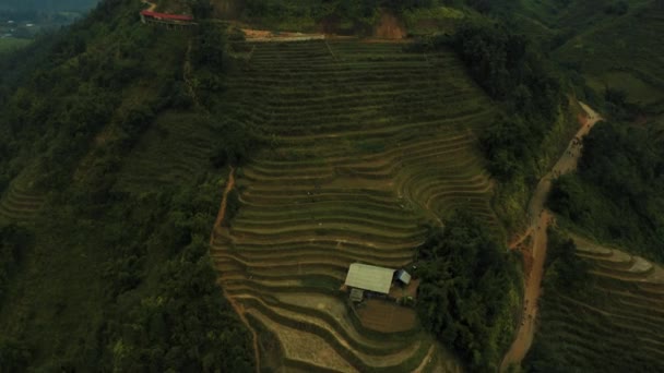 Aerial drone footage of rice terraces in Sapa, Northern Vietnam -October 2019 — Stock video