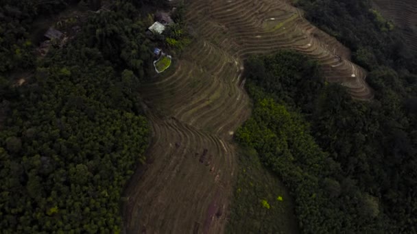 Aerial drone footage of rice terraces in Sapa, Northern Vietnam -October 2019 — Stockvideo