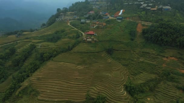 Aerial drone footage of rice terraces in Sapa, Northern Vietnam -October 2019 — Stok video