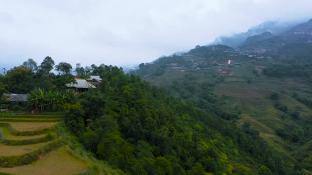 Aerial drone footage of rice terraces in Sapa, Northern Vietnam -October 2019 — 图库视频影像