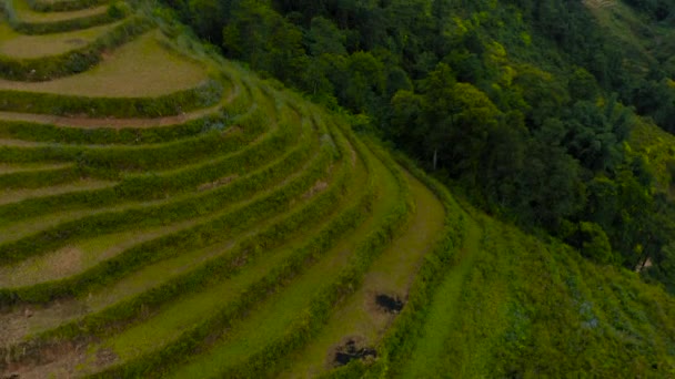 Images aériennes de drones de terrasses de riz à Sapa, Nord-Vietnam -octobre 2019 — Video