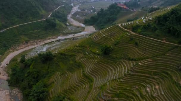Aerial drone footage of rice terraces in Sapa, Northern Vietnam -October 2019 — ストック動画