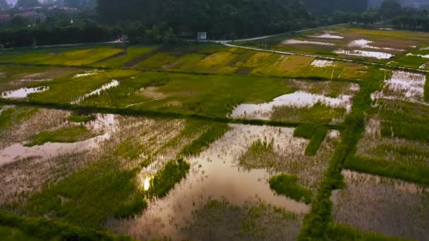 Luchtfoto Drone beelden van Ninh Binh en Tam Coc uit de lucht tijdens zonsondergang - oktober 2019 — Stockvideo