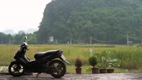 Tam Coc, Vietnã - 20 de outubro de 2019: Um ciclomotor está contra um campo de arroz em Tam Coc, Ninh Binh, Vietnã do Norte — Vídeo de Stock