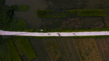 Tam Coc, Kuzey Vietnam 'da bisiklet süren turistlerin hava görüntüleri