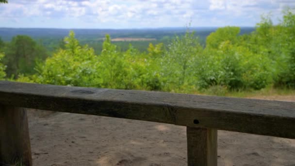 Tomma träbänk mitt i en skog framför träd på en ljus solig dag — Stockvideo