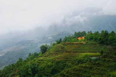 Arkasında dağlar ve bulutlar olan ünlü pirinç terasları. Sapa, Kuzey Vietnam Ekim 2019