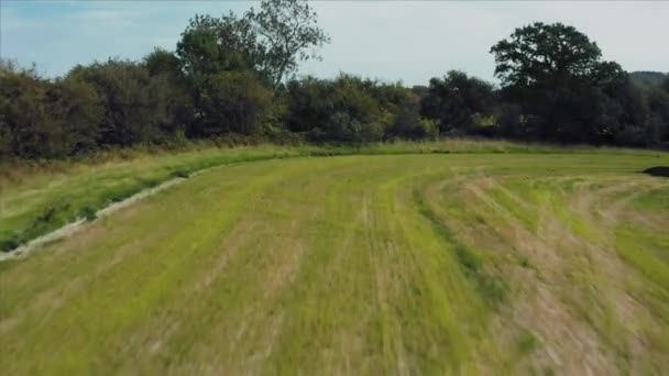 英国9月阳光灿烂的炎热天气里，无人机从树梢上方的农田上起飞，俯瞰着乡村 — 图库视频影像