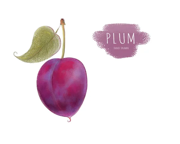 Erik. Arka planlar, dekorlar, paket tasarımı için vektör çizimi