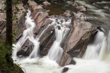 Büyük Smoky Dağları yaz Tennessee çevresinde