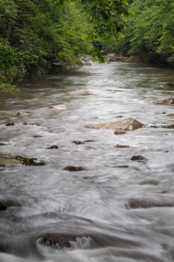 Büyük Smoky Dağları yaz Tennessee çevresinde