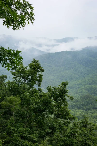 Las Grandes Montañas Humeantes Verano Alrededor Tennessee —  Fotos de Stock