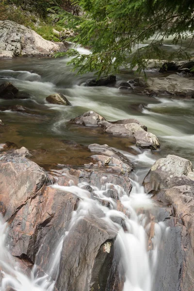 Büyük Smoky Dağları yaz Tennessee çevresinde