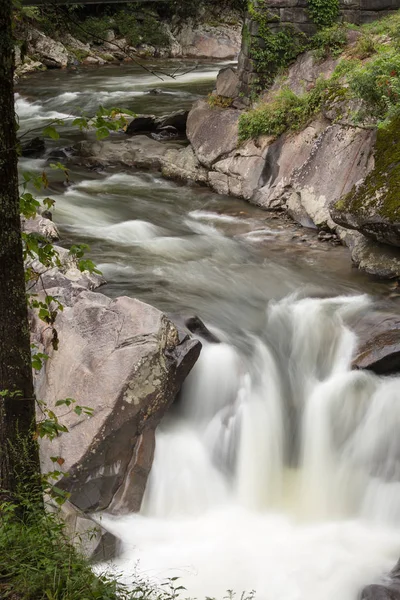 Las Grandes Montañas Humeantes Verano Alrededor Tennessee —  Fotos de Stock