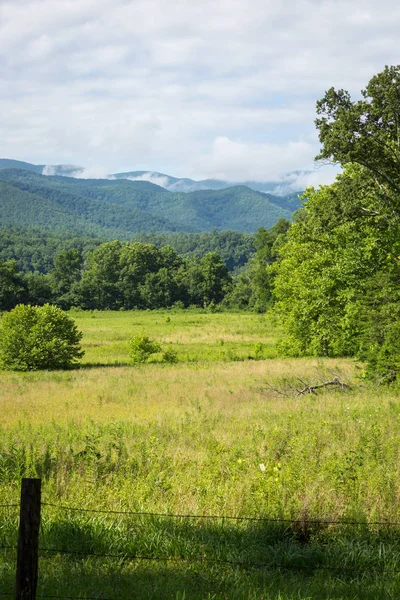 Büyük Smoky Dağları yaz Tennessee çevresinde