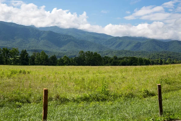 Las Grandes Montañas Humeantes Verano Alrededor Tennessee —  Fotos de Stock