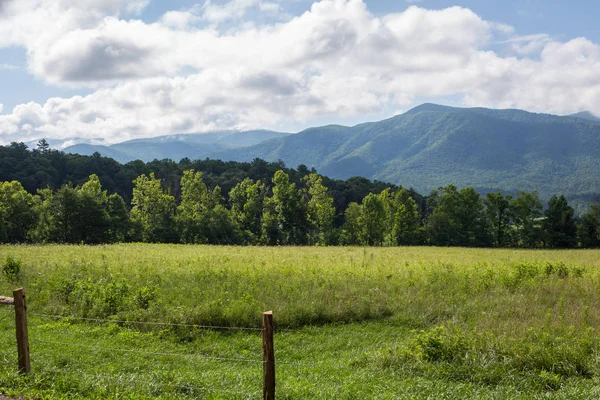 Büyük Smoky Dağları yaz Tennessee çevresinde