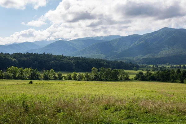 Las Grandes Montañas Humeantes Verano Alrededor Tennessee —  Fotos de Stock