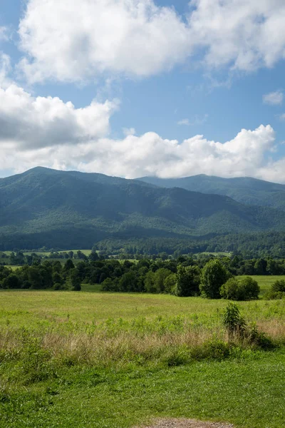 Las Grandes Montañas Humeantes Verano Alrededor Tennessee —  Fotos de Stock