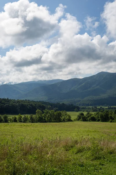 Las Grandes Montañas Humeantes Verano Alrededor Tennessee —  Fotos de Stock