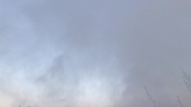 Rauch Steigt Vom Boden Den Himmel Schwelbrand — Stockvideo