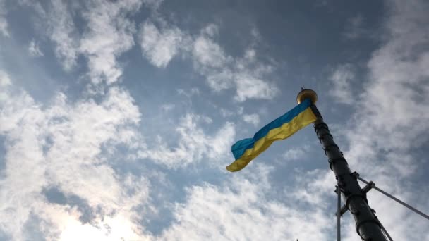 空に対するウクライナの旗 — ストック動画