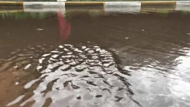 Reflectie Van Een Man Een Plas Stroom Van Water Regen — Stockvideo