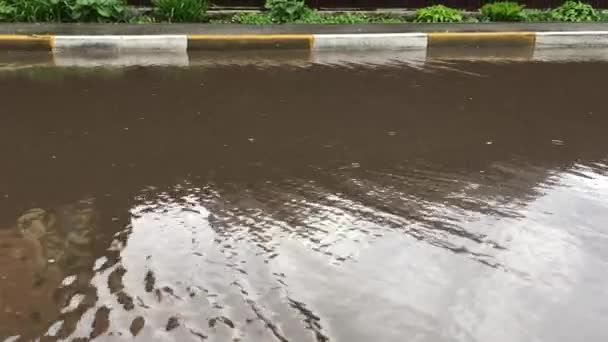 Przepływ Wody Deszczu Kałuże Chodniku Dół Przepływu Wody Deszczowej Pogoda — Wideo stockowe