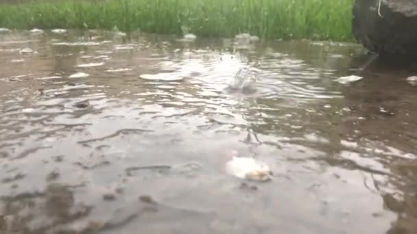Kaldırımda Yağmur Spreyi Var Kaldırımda Birikintileri Caddenin Aşağısında Yağmur Suyu — Stok video