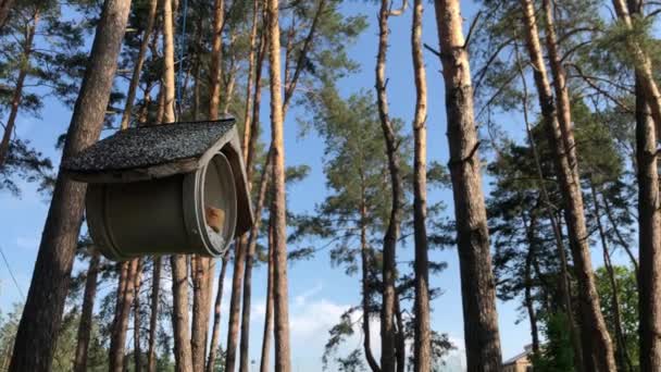 Birdhouse Uma Árvore Parque Alimentador Pássaros Pendura Uma Árvore — Vídeo de Stock