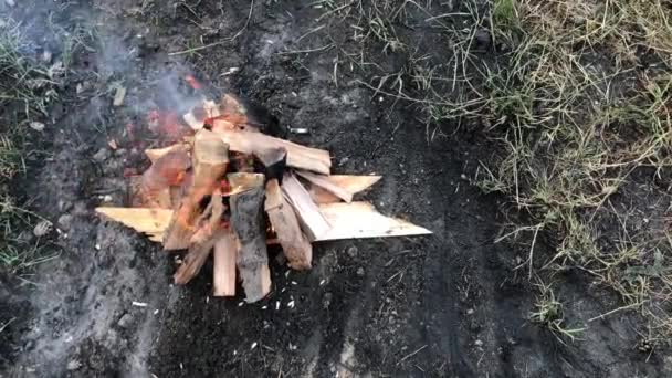 Pequeno Incêndio Queima Piquenique Floresta Close — Vídeo de Stock