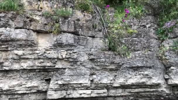 Βράχια Του Φαραγγιού Αυξάνονται Πάνω Από Ποτάμι Βραχώδης Λόφος Των — Αρχείο Βίντεο