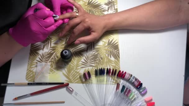 Maestro Hace Una Manicura Salón Belleza Una Mujer Hace Belleza — Vídeos de Stock