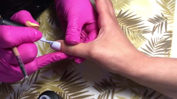 Mestre Faz Uma Manicure Salão Beleza Uma Mulher Faz Beleza — Vídeo de Stock