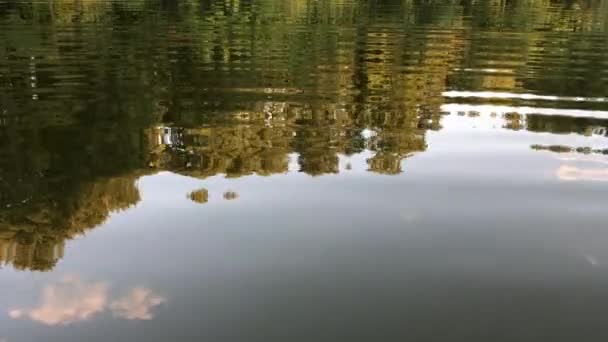 Reflejo Del Cielo Árboles Verdes Lago Forestal Agua Clara Tranquila — Vídeos de Stock