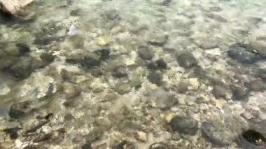 Şeffaf bir dağ nehrinin su akıntısı, yakın. Gürcistan'da Martvili Kanyonu ve Okatse arasında saf turkuaz nehir. Dağlardaki soğuk bir nehrin akışı. Arka plan: akan su.