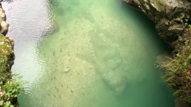 Şeffaf bir dağ nehrinin su akıntısı, yakın. Gürcistan'da Martvili Kanyonu ve Okatse arasında saf turkuaz nehir. Dağlardaki soğuk bir nehrin akışı. Arka plan: akan su.