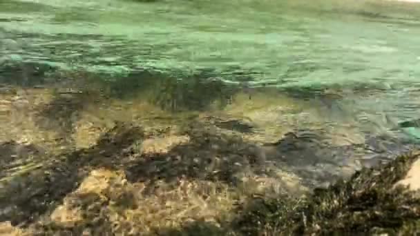 透明な山の川の水流をクローズアップ ジョージア州のマルトヴィリ渓谷とオカツ川の間の純粋なターコイズ川 山の冷たい川の流れ — ストック動画