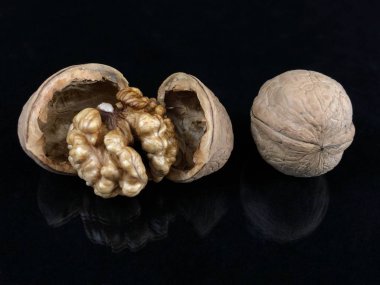 Siyah bir arka plan üzerinde kabuklu ceviz. Sert bir kabuk içinde olgun ceviz.