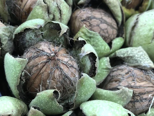 Tvrdé vlašské ořechy jsou dobré pro vaše zdraví. — Stock fotografie