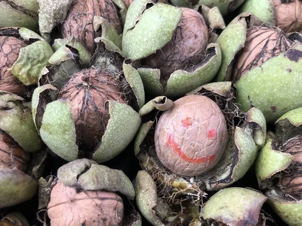 Tvrdé vlašské ořechy jsou dobré pro vaše zdraví. — Stock fotografie